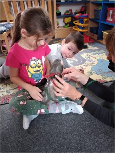 Mateřská školka - zooterapie - děti s fretkou